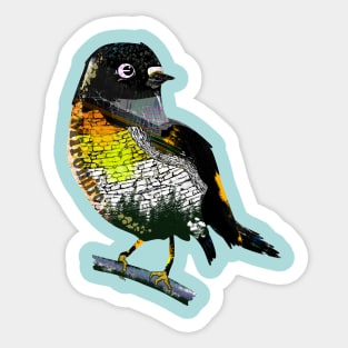 Tomtit miriomiro graffit style Sticker